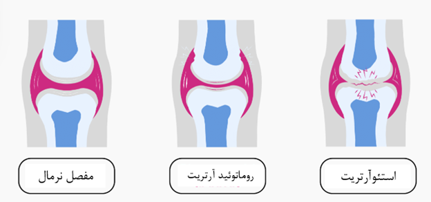 گیاهخواری