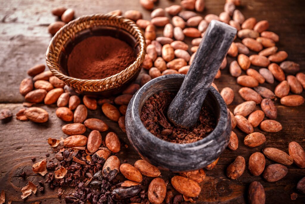 تغذیه
